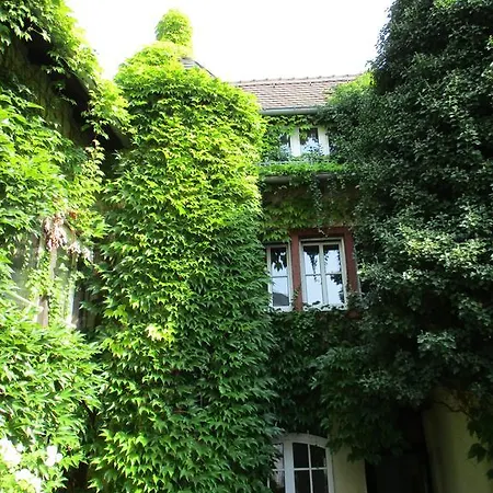 Burg-stuben 2*
