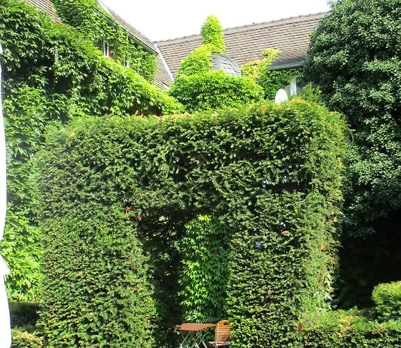 ブルク-シュトゥーベン マインツ